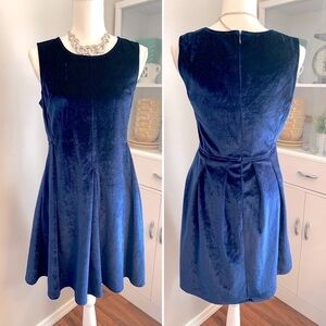 ALYA navy velvet fit and flare sleeves dress
